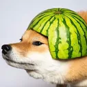 Emoji watermelondog