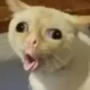 Emoji wtf