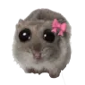 Emoji 4735hamsterpweasepinkbow