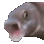 Emoji 6618pogfishanimated