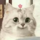 Emoji LHCatDiablo