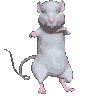Emoji mu_rat