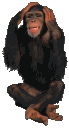 Emoji wtama_bonoboohho