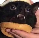Emoji tama_cat_burger