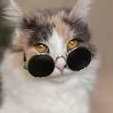 Emoji miaou3