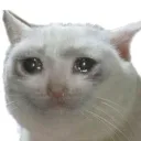 Emoji miaou5