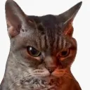 Emoji pascontent