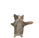Emoji yippee