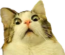 Emoji emojipng