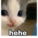 Emoji n8e_FZ_hehe