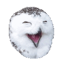Emoji hoothoot