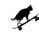 Emoji 16962skateboardingkitty