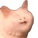 Emoji Salutcestcringe