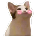 Emoji Yumi
