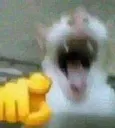 Emoji chatchahaha