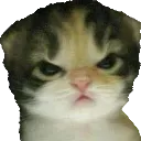 Emoji angwy