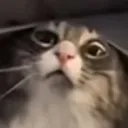 Emoji tama_chatfatigue