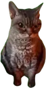Emoji 23680grumpycat