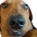 Emoji emoji_67