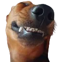 Emoji phi_ehehe
