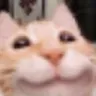 Emoji miauemoji_xksu