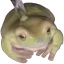 Emoji 7744sheeshjuliofrog