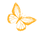 Emoji butterflyorange