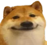Emoji dog