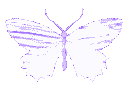 Emoji Pigalle_purplebutterfly
