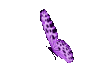 Emoji Pigalle_purplebutterfly