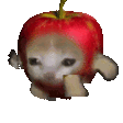 Emoji Applecatrun