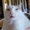 Emoji mmmmmiao