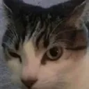 Emoji ehm