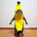 Emoji bananacat