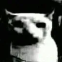 Emoji Pigalle_cat_sus