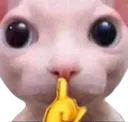 Emoji Pigalle_catbingusshh