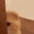 Emoji catLurk