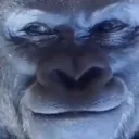 Emoji dunkey