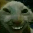 Emoji begula