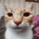 Emoji k_