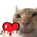 Emoji catheart