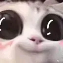 Emoji wow