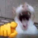 Emoji rire