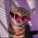 Emoji Heya_pinkcat
