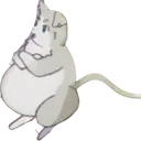 Emoji GrosPorcPuck