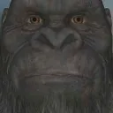 Emoji KongFortniteIdk