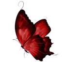 Emoji 04_btf