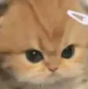 Emoji G_catangy