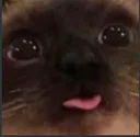 Emoji G_blem