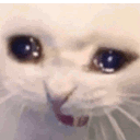 Emoji cat_crycris